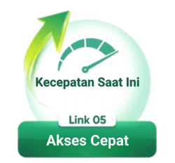 Link 5